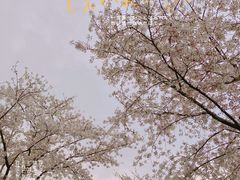 -上海辰山植物园