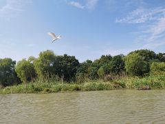-长兴太湖图影湿地文化园