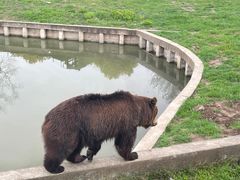 -上海野生动物园