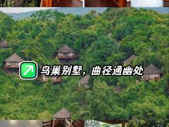 -三亚亚龙湾人间天堂鸟巢度假村