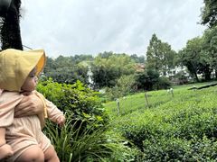 -野蔓果·山野菜(西湖景区·龙井茶田店)