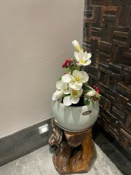 -禾颜社·精致美容