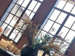 -滇野云南野生菌餐厅(陕西南路店)