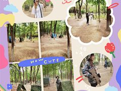 -亲兄弟真人CS团建拓展基地