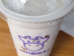 -一只酸奶牛(春熙路店)