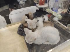 -老爷锅(新街口IFCX店)