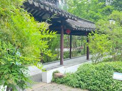 -上海醉白池公园