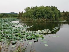 -上海市保健医疗中心