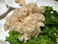 绣球菌-犇鼎牛潮汕牛肉火锅(新辰里学清路店)