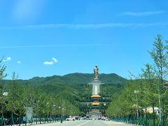 -中原大佛景区