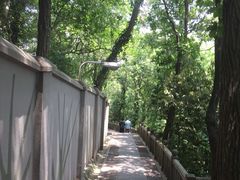 -上海佘山国家森林公园西佘山园