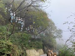 -少华山国家森林公园