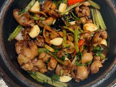 啫啫石斑鱼鱼扣-煲煲好(朝阳门店)