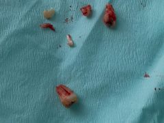 -南方医科大学口腔医院(番禺院区)