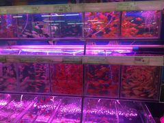 -泉州丰泽新华都百货(丰泽广场店)