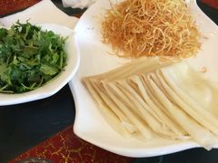 -丁老爷子苏香圆