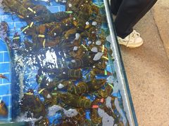 -船奇蒸汽海鲜·闽菜(八市海鲜总店)