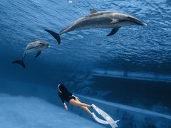 -三亚海棠湾万丽度假酒店