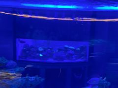 -上和臻品中国菜(花园街店)