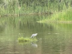 -玉龙沙湖景区