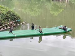 -星湖旅游景区七星岩