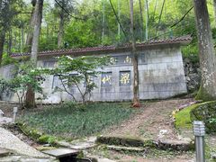 -东天目山风景区