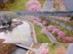 -上海辰山植物园