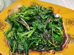 -菜当家