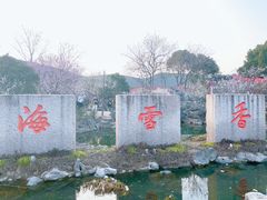 -香雪海