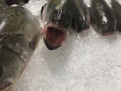 -麦德龙(湖里店)