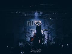 -坚果NUTS