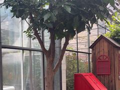 -南宫五洲植物乐园