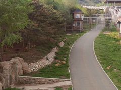 -大青山野生动物园