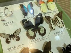-蝴蝶泉公园
