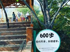-大岭沟猕猴桃谷风景区