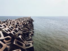-东疆建设开发纪念公园