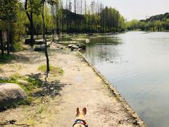-新江湾城公园