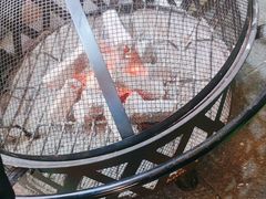 -西江红·株洲本地菜(滨江南路店)