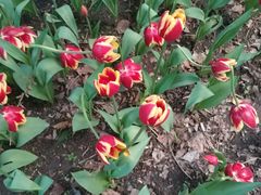 -长春公园(普阳街道)