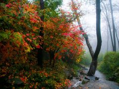 -九如山休闲旅游度假区