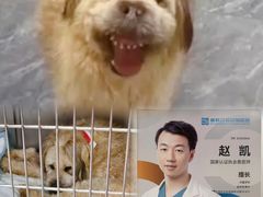 -美联众合爱康动物医院•复杂内科•肿瘤科•牙科•腔镜诊疗中心