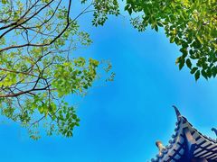 -四海公园(南山区)