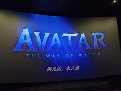 -寰映影城(大融城激光IMAX店)