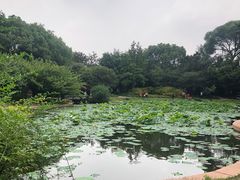 -上海市龙华烈士陵园