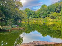 -深圳仙湖植物园