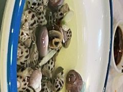 -渔中舟海鲜大排档(普陀沈家门店)