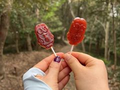 -上海佘山国家森林公园天马山园