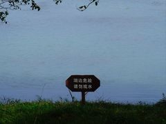 -贡湖湾湿地公园