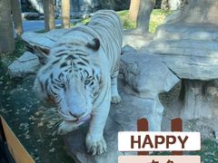 -北京野生动物园