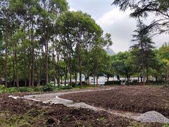-区行政办公中心5号地块绿地-地下停车场
